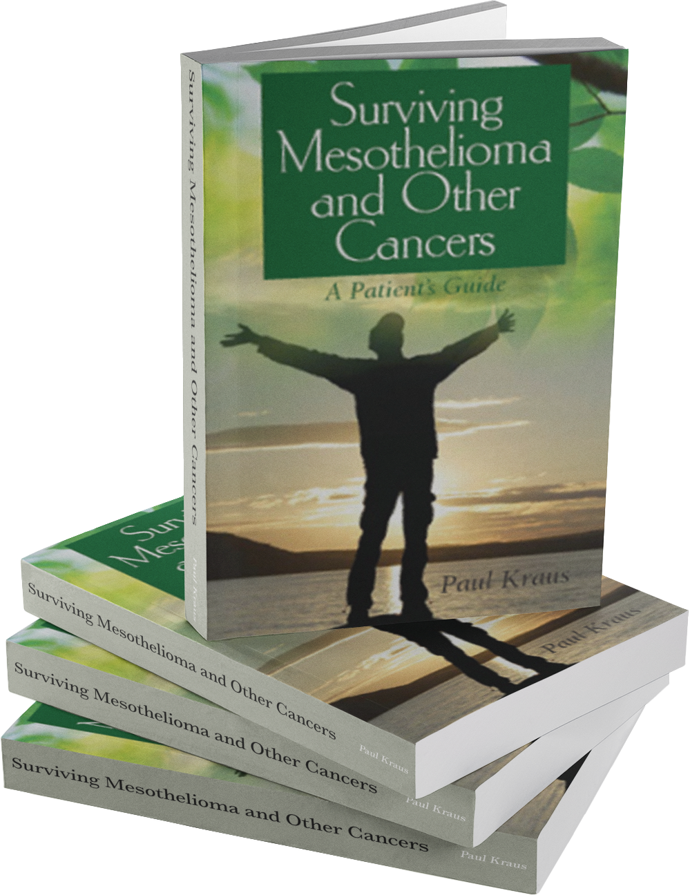 surviving mesothelioma a patients guide front cover